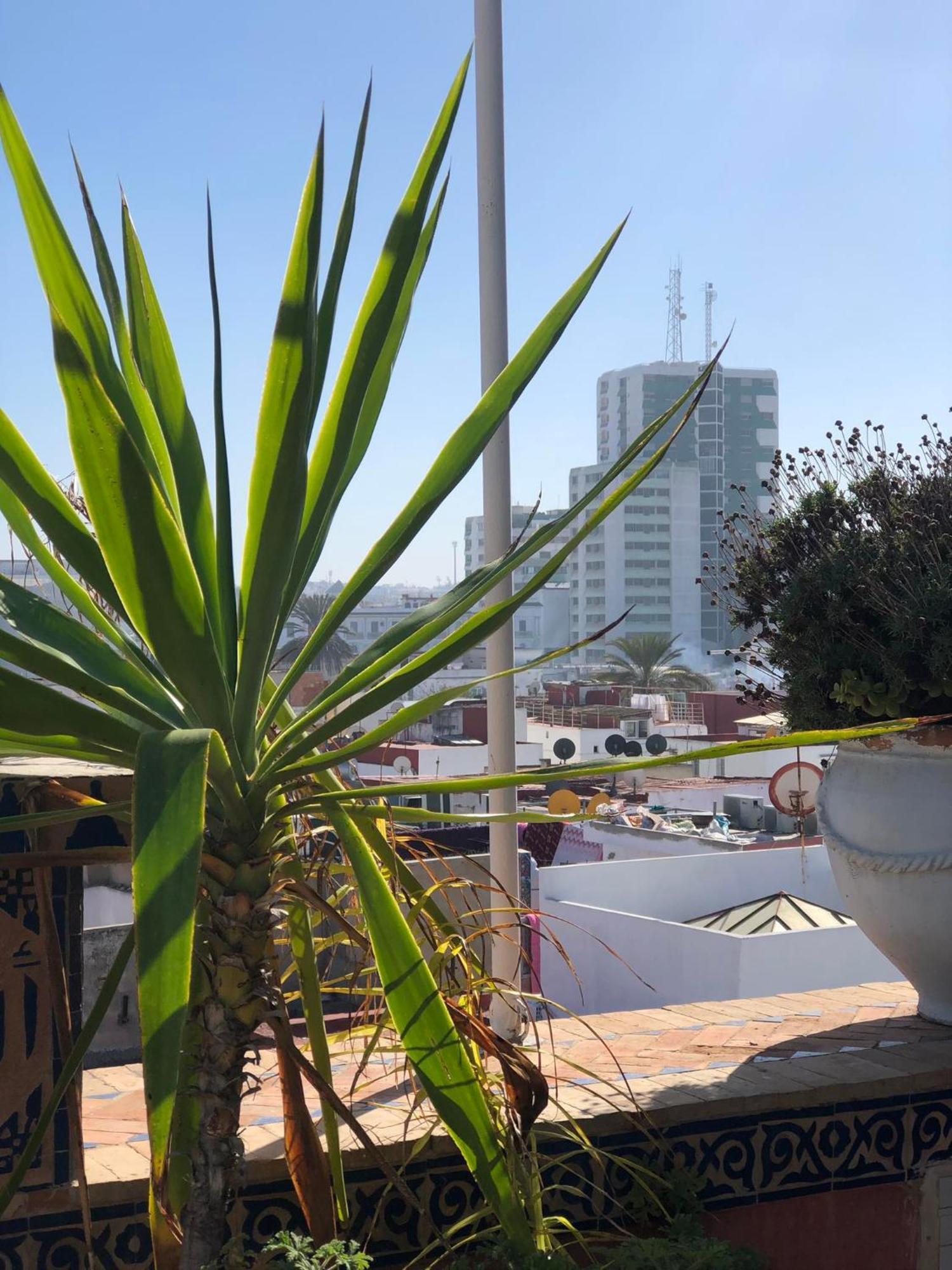 Riad Razoli Sidi Fateh Rabat Eksteriør bilde