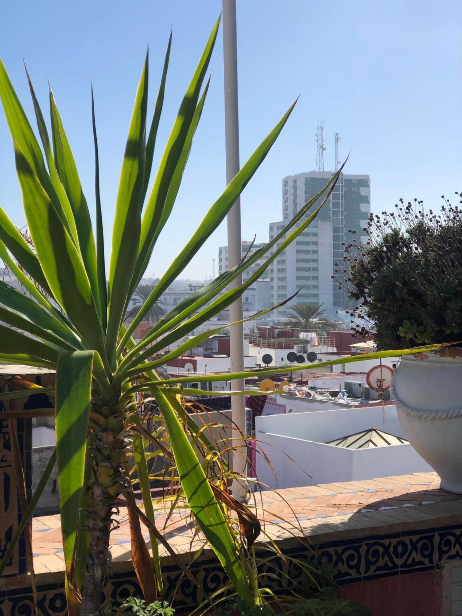 Riad Razoli Sidi Fateh Rabat Eksteriør bilde